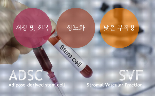 수메디의원