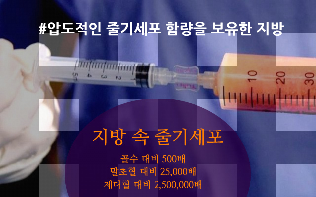 수메디의원